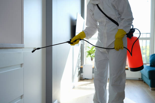 Minot Af, ND Mold Removal Company